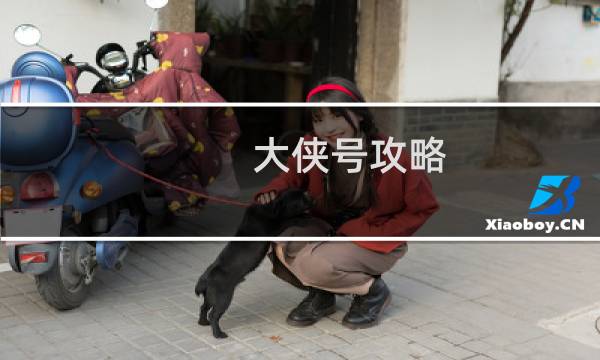 大侠号攻略