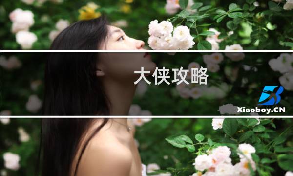 大侠攻略