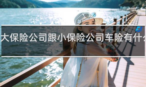 大保险公司跟小保险公司车险有什么区别