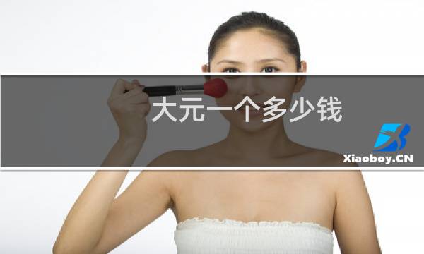大元一个多少钱