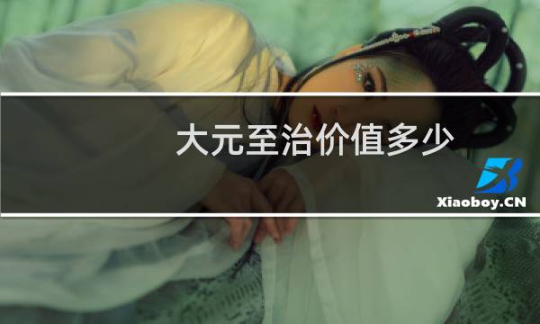 大元至治价值多少