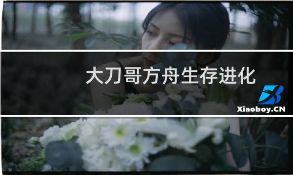 大刀哥方舟生存进化