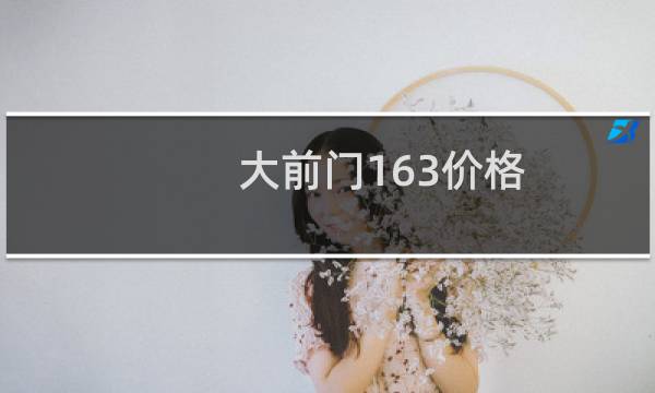 大前门163价格