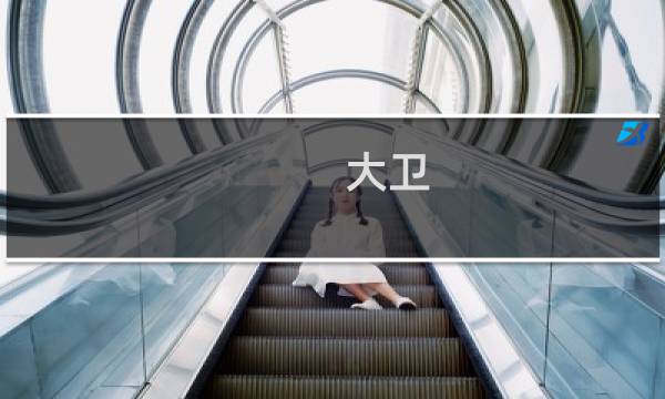 大卫 金攻略