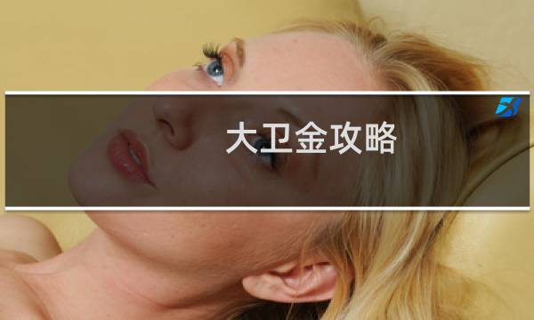大卫金攻略
