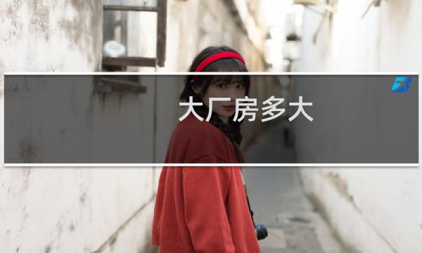 大厂房多大