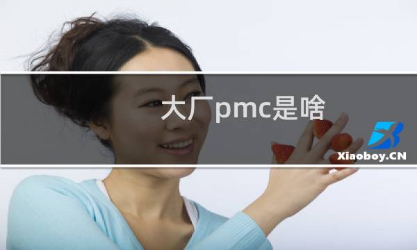 大厂pmc是啥