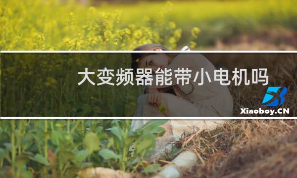 大变频器能带小电机吗