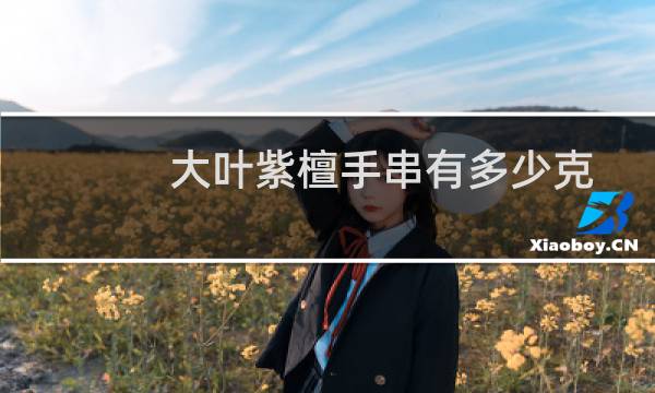大叶紫檀手串有多少克