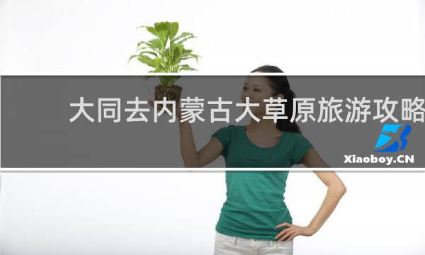 大同去内蒙古大草原旅游攻略