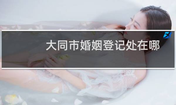 大同市婚姻登记处在哪