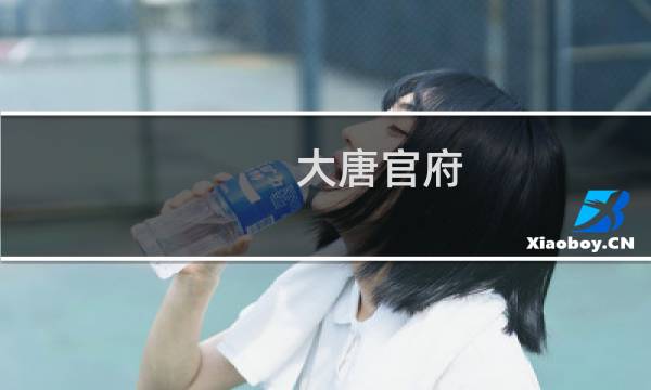 大唐官府 攻略