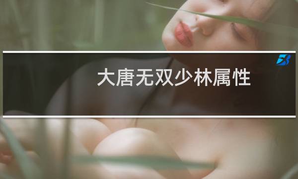 大唐无双少林属性
