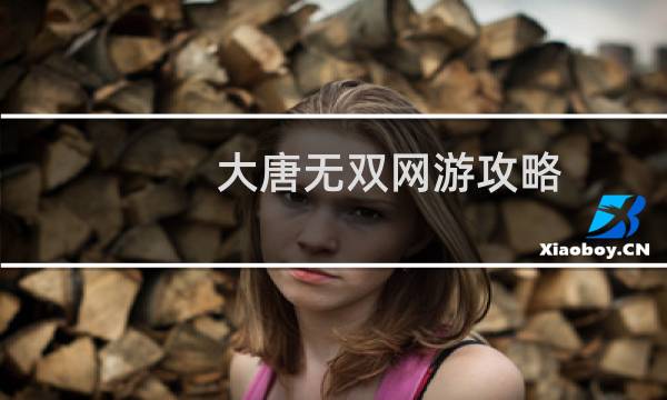 大唐无双网游攻略