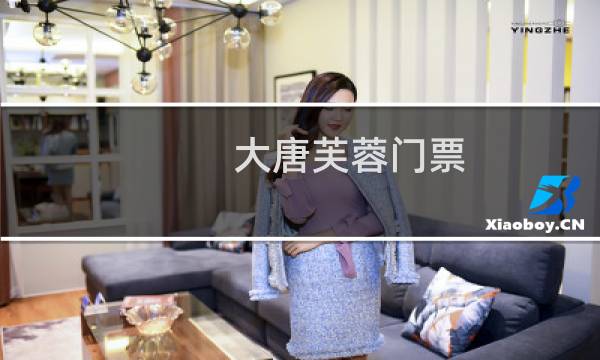 大唐芙蓉门票