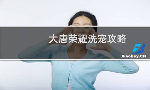 大唐荣耀洗宠攻略