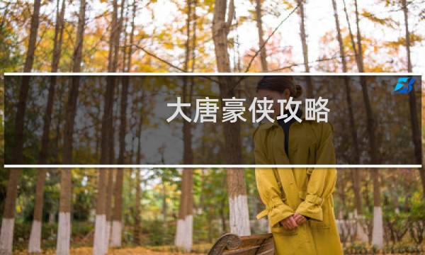 大唐豪侠攻略