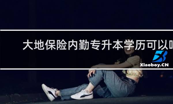 大地保险内勤专升本学历可以吗