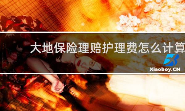 大地保险理赔护理费怎么计算