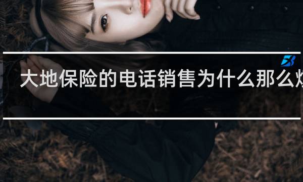 大地保险的电话销售为什么那么烦人