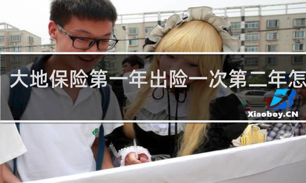 大地保险第一年出险一次第二年怎么算