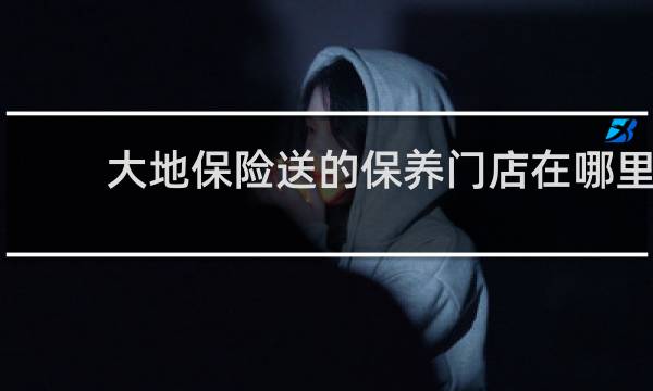 大地保险送的保养门店在哪里