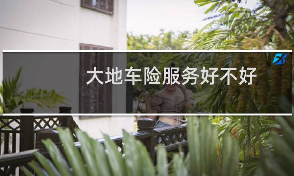大地车险服务好不好