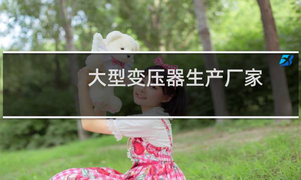大型变压器生产厂家