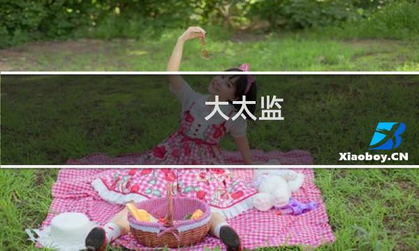 大太监 攻略