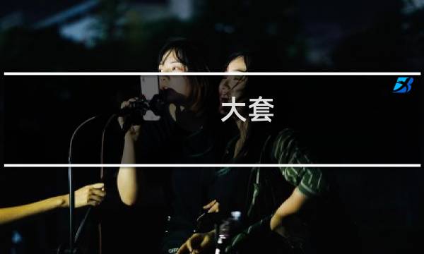 大套 小套价格