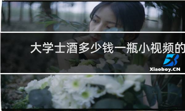 大学士酒多少钱一瓶小视频的
