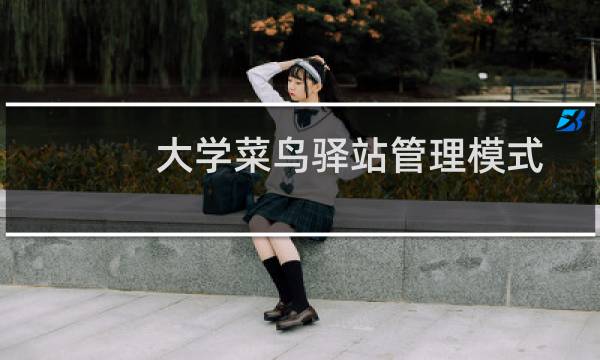 大学菜鸟驿站管理模式