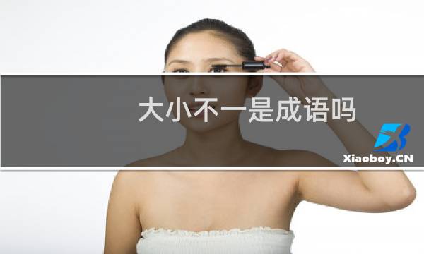 大小不一是成语吗