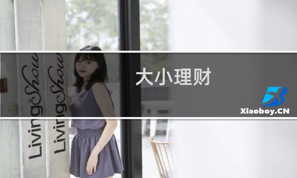 大小理财