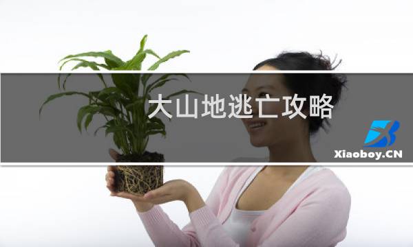 大山地逃亡攻略