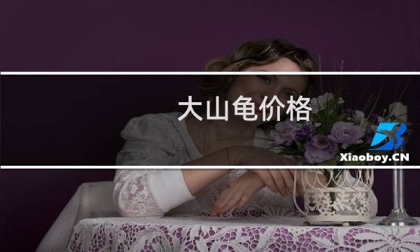大山龟价格