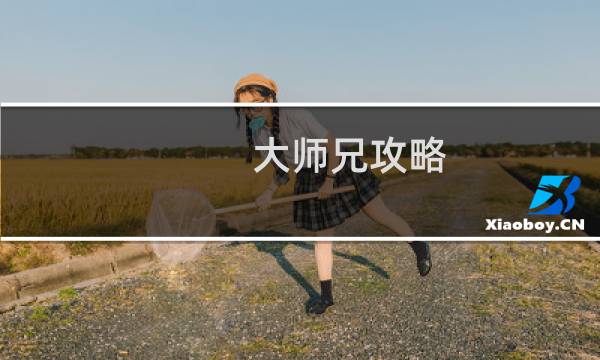 大师兄攻略