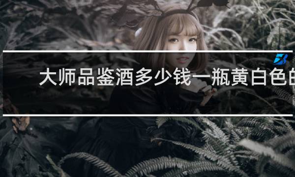 大师品鉴酒多少钱一瓶黄白色的