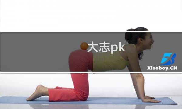大志pk 攻略