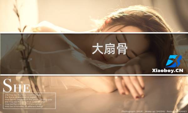大扇骨 价格