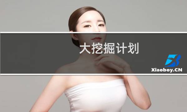 大挖掘计划 攻略