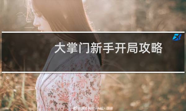 大掌门新手开局攻略