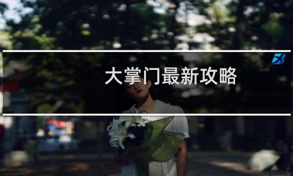 大掌门最新攻略