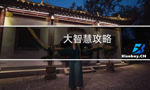 大智慧攻略