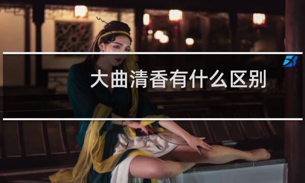 大曲清香有什么区别