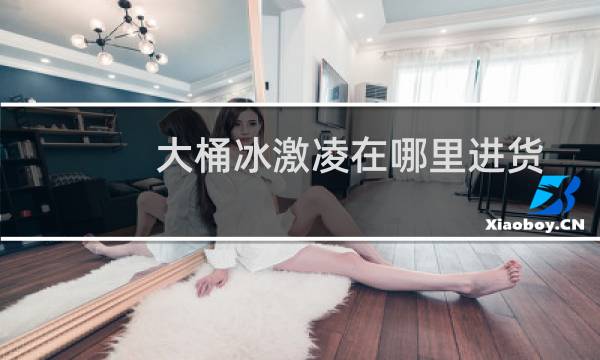 大桶冰激凌在哪里进货