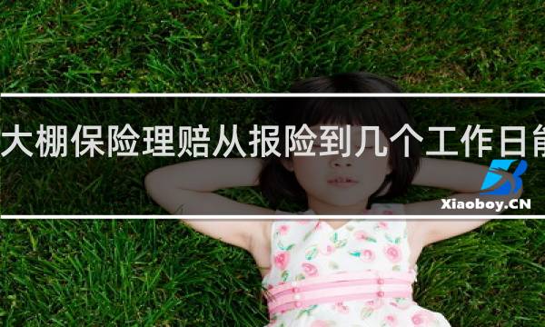大棚保险理赔从报险到几个工作日能理赔