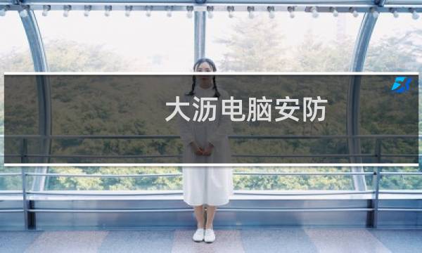 大沥电脑安防