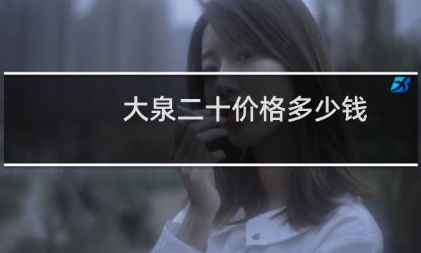 大泉二十价格多少钱