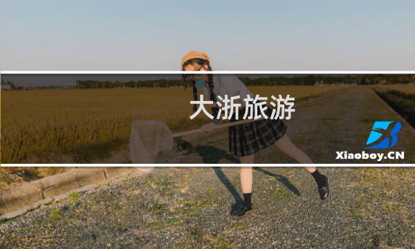 大浙旅游